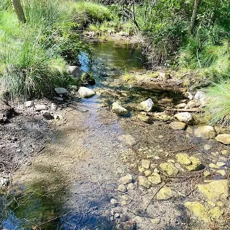 El Paraiso シャレー マンザネラ