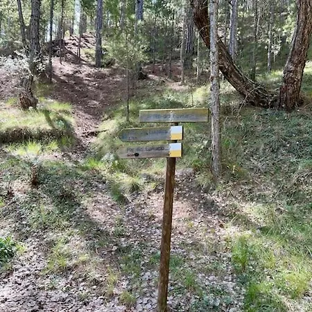 El Paraiso *