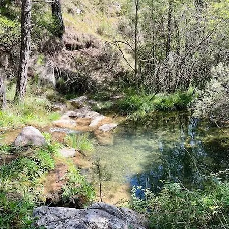 בקתה El Paraiso