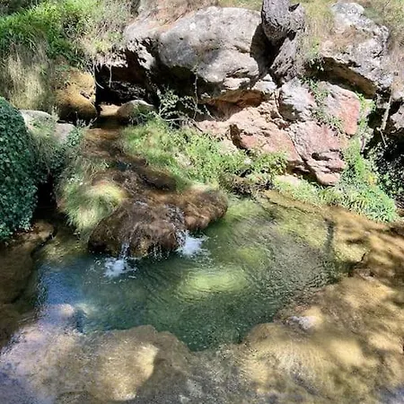 El Paraiso * マンザネラ