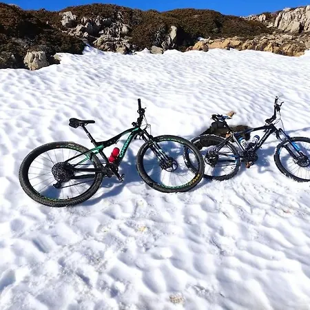 El Paraiso * マンザネラ