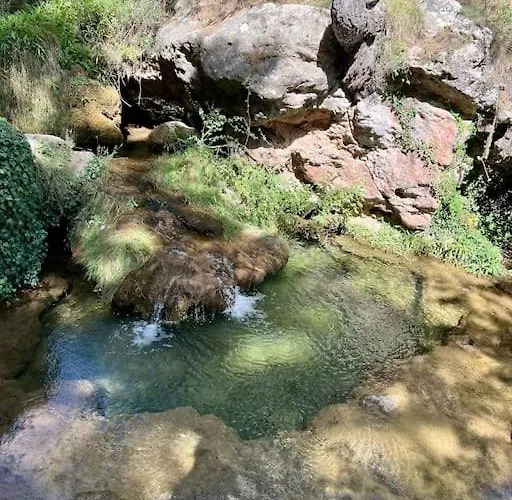 El Paraiso * Manzanera