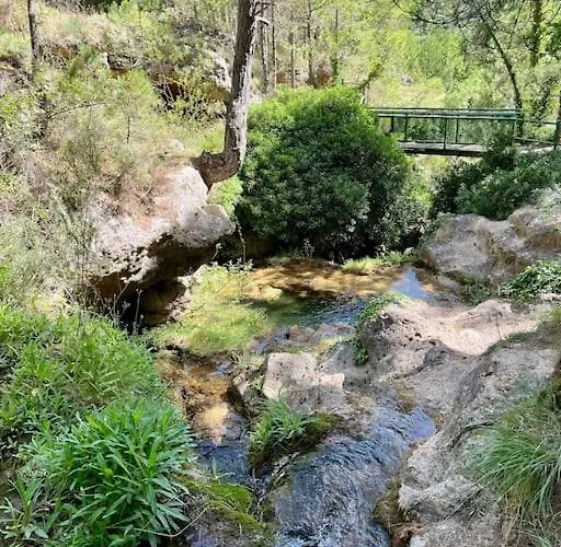 El Paraiso Manzanera